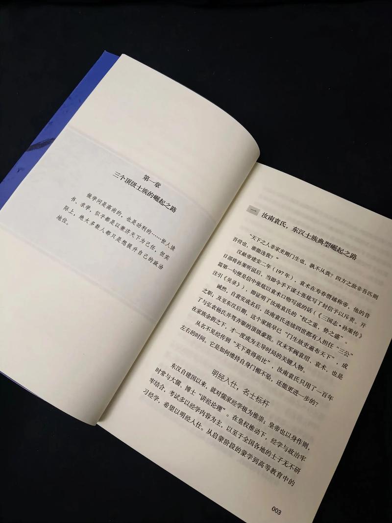 纸飞机潭石在线阅读 | 完整版无删减全文免费阅读