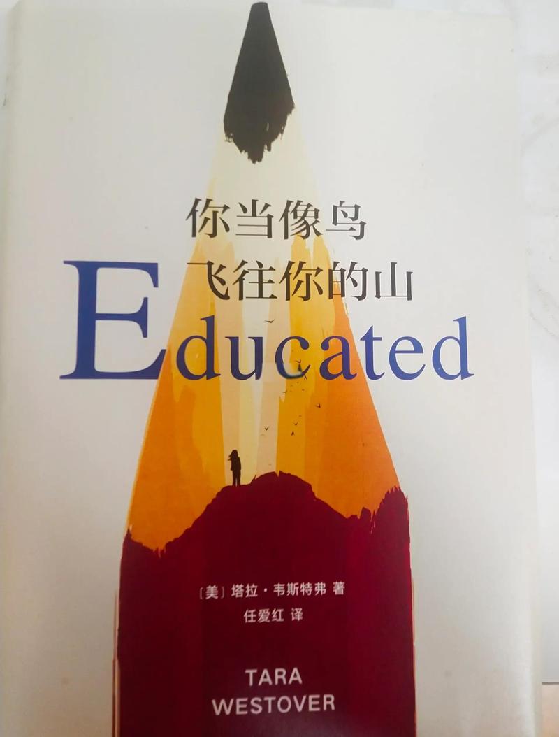 你当像鸟飞往你的山在线阅读：原生家庭与自我救赎的震撼之旅
