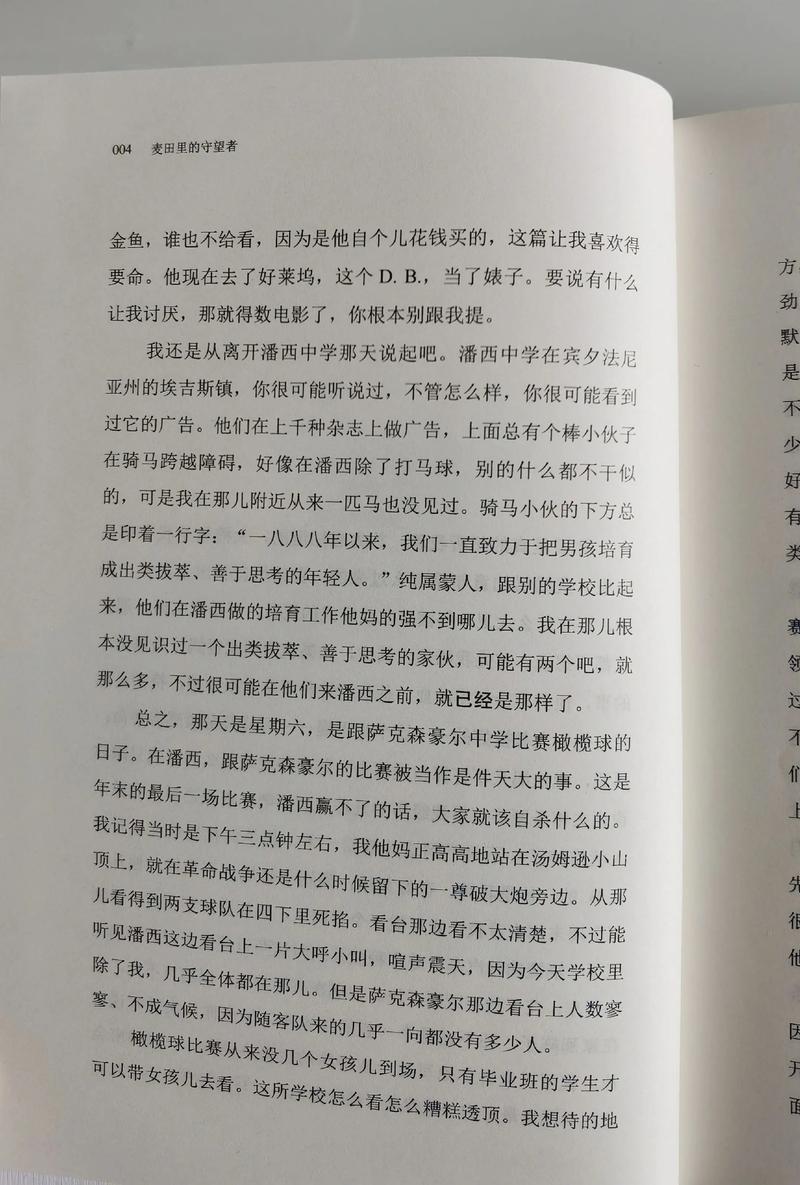 麦田里的守望者在线阅读|J.D.塞林格经典成长小说