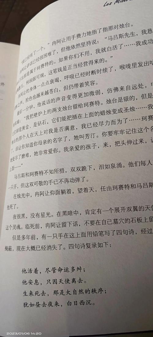 悲惨世界在线阅读|雨果经典名著完整版