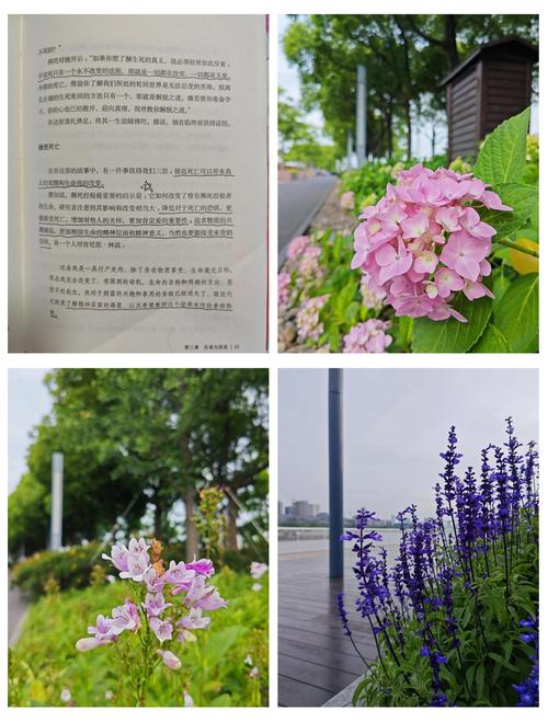 知音杂志在线阅读：品味真情故事，感悟百味人生