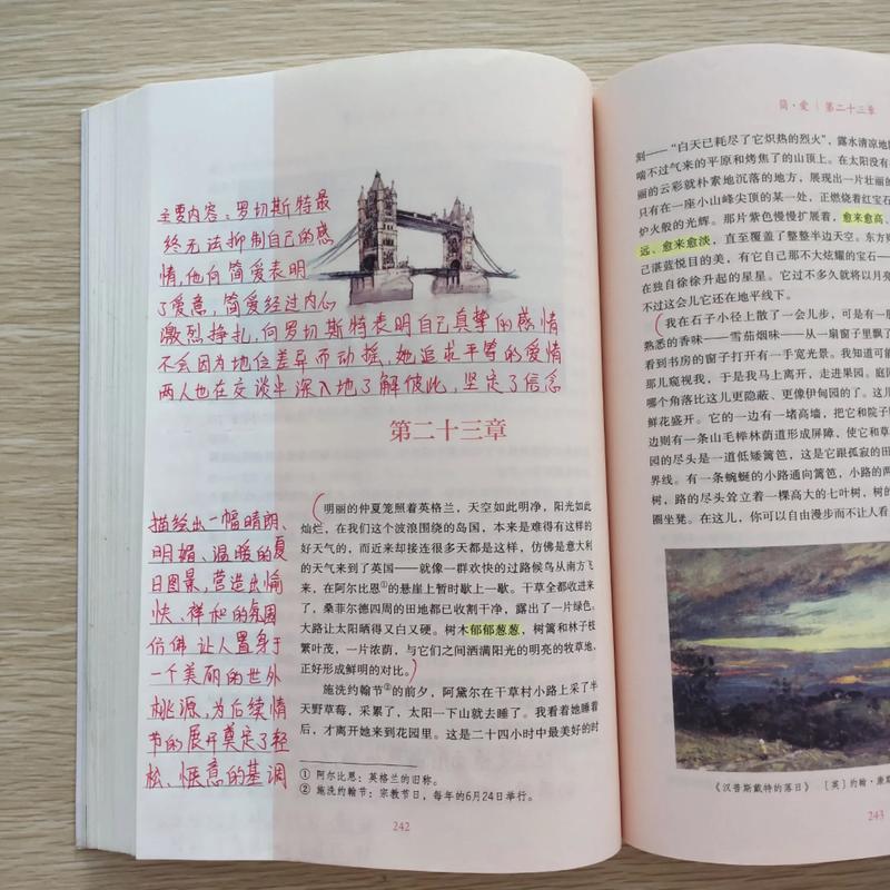 掠婚小说免费阅读在线的相关介绍