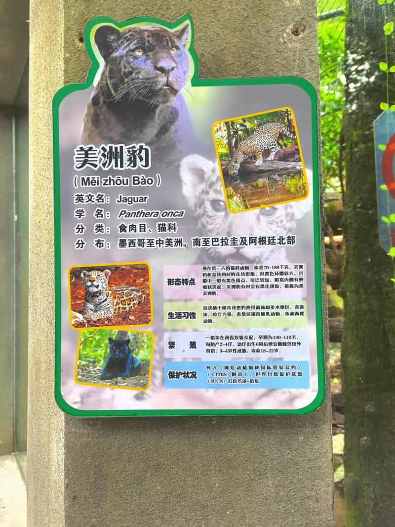 陈歌马晓楠全文在线阅读 | 热门小说免费阅读