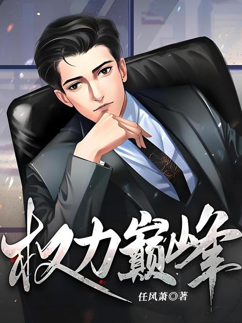 权力巅峰在线全文阅读 | 官场权谋巅峰之作