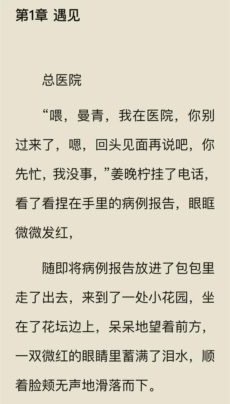 京洛再无佳人2全文免费在线阅读