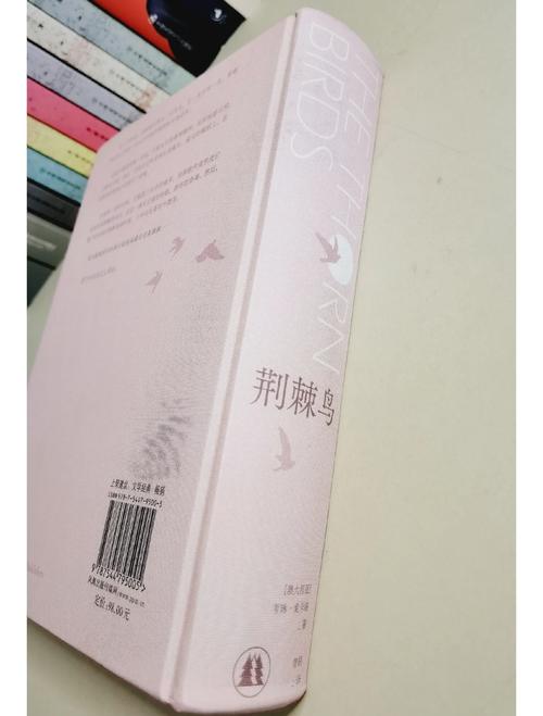 艳情短篇合集在线阅读 | 深夜情感故事精选