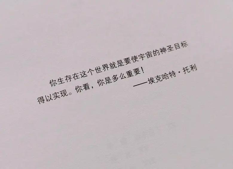 《当下的力量》在线阅读:解锁当下力量,摆脱焦虑与痛苦