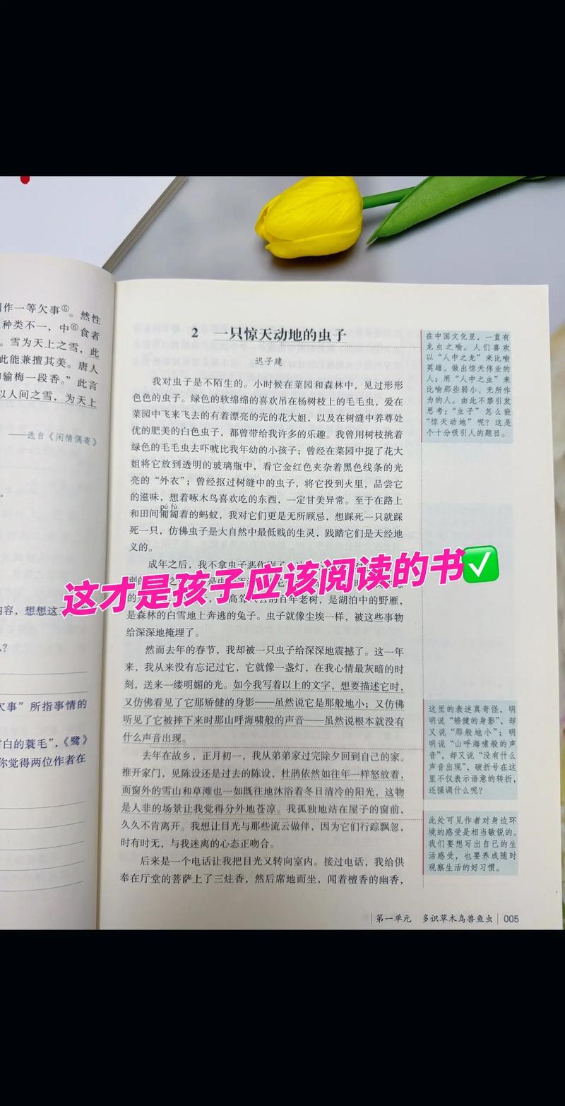 寻龙记全文免费在线阅读 | 章节更新