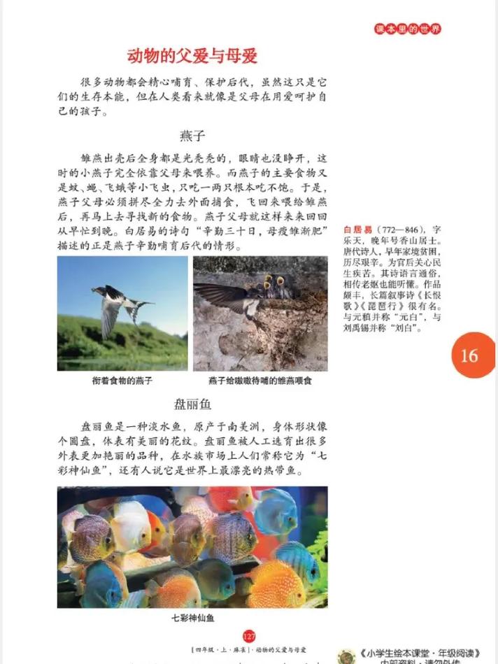 海棠文学城官网 - 热门小说全文免费在线阅读平台