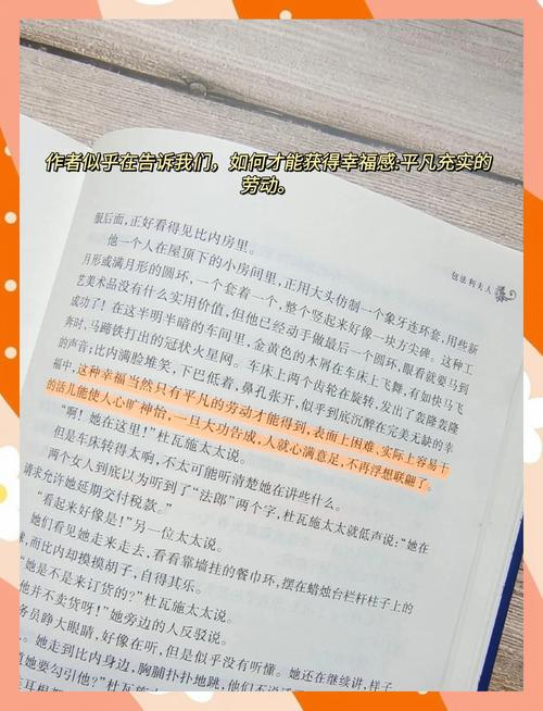 护花兵王夏天全文免费阅读_护花兵王最新章节更新