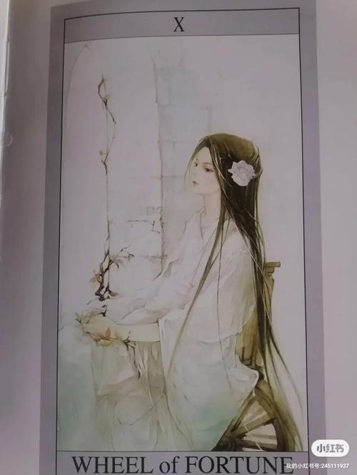 镜沧月在线全文阅读_热门玄幻小说无弹窗免费阅读