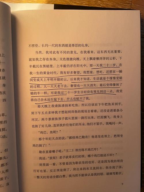 小村医的桃花运全文免费阅读,山村医者艳遇不断