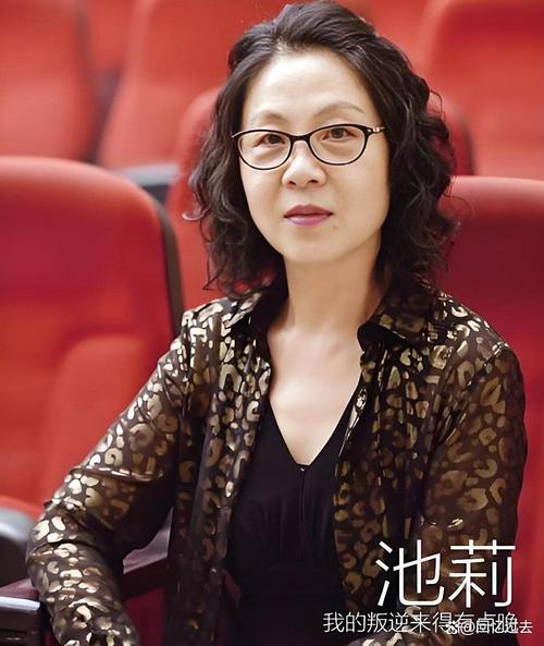 池莉小说在线阅读全集 | 经典作品免费看