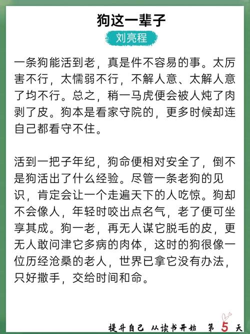 2023非虚构成长：在线阅读，在真实故事中汲取向上力量