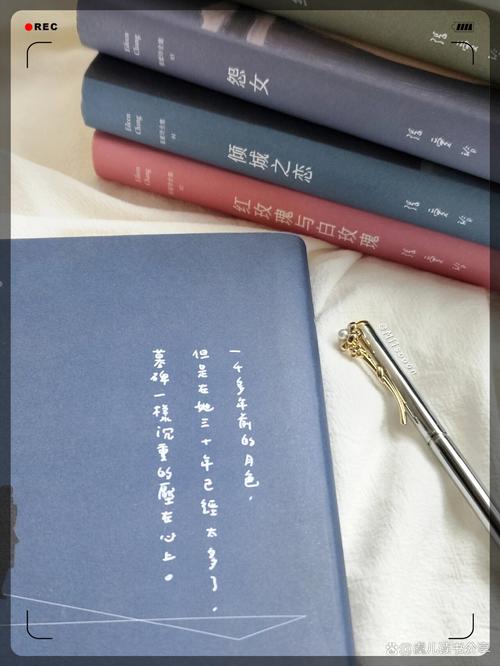 小村医的桃花运全文在线阅读 | 精彩章节免费看