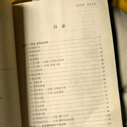天才在左疯子在右在线阅读｜精神病人访谈手记