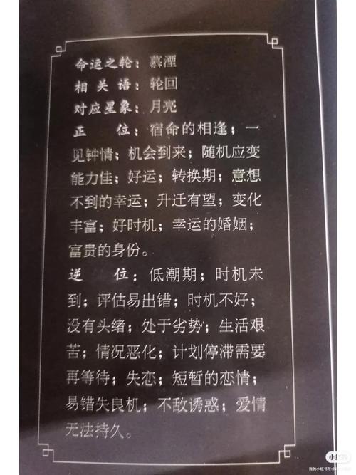 错嫁替婚总裁免费阅读全文在线阅读 | 错嫁替婚总裁全文无弹窗