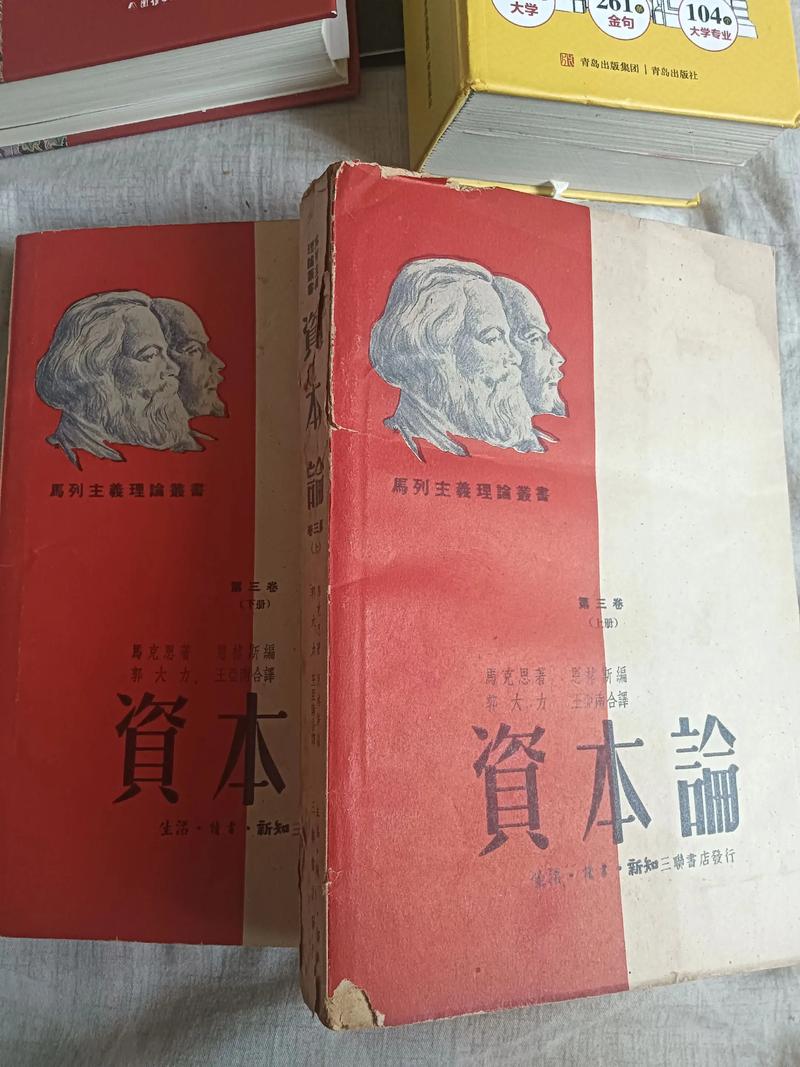 少阿兵宾小说全文在线阅读，精彩章节免费看